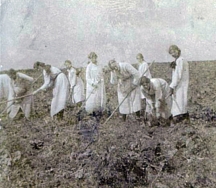 G444 Cheltenham Ladies College girls doing field work. Courtesy of Cheltenham Ladies College Archive.