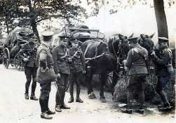 G151 Army Service Corps feeding horses