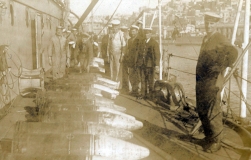 G286 Naval group with shells