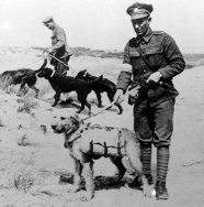 G415 Royal Engineers and sniffer dogs